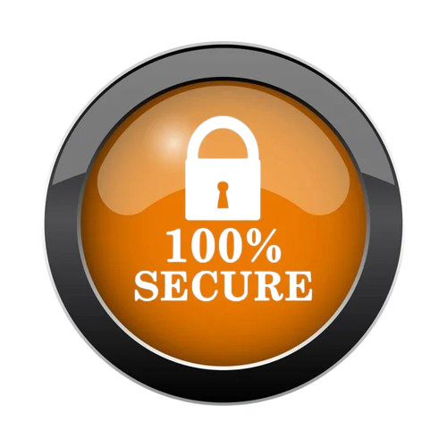 100% Seguro